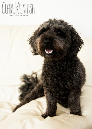 Essex_Rayleigh_Baby_Portrait_Photographer_10