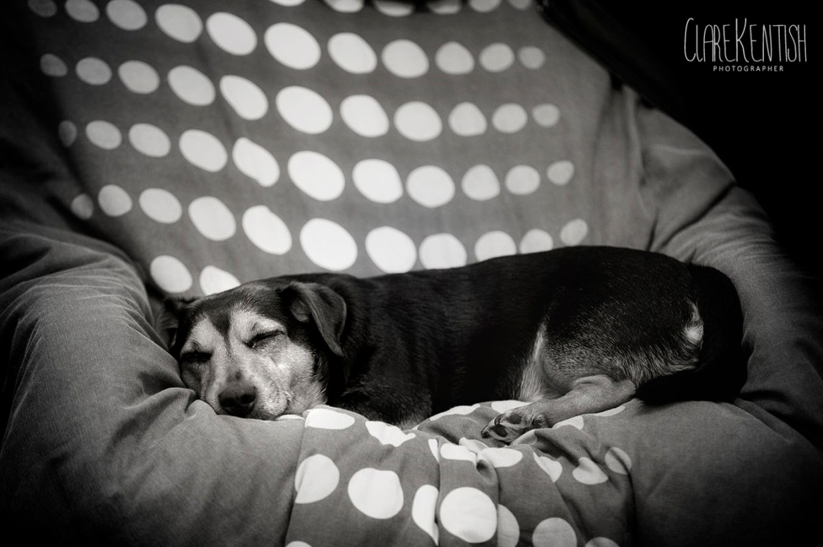 Essex_Wedding_Photographer_Rayleigh_Clare_Kentish_1021